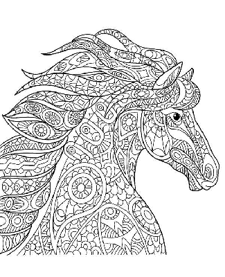 Kolorowanka z długowłosym koniem